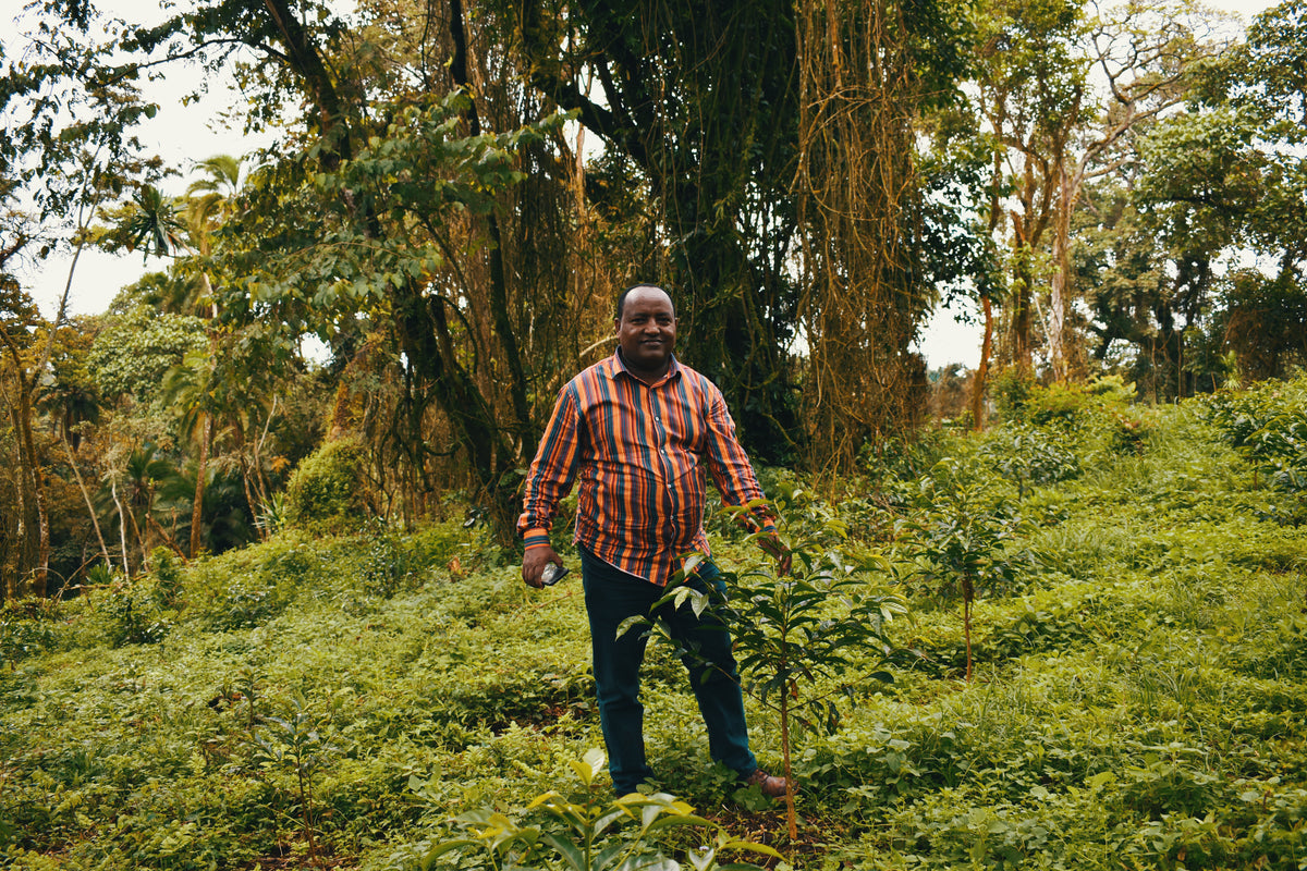 Ethiopia Zema
