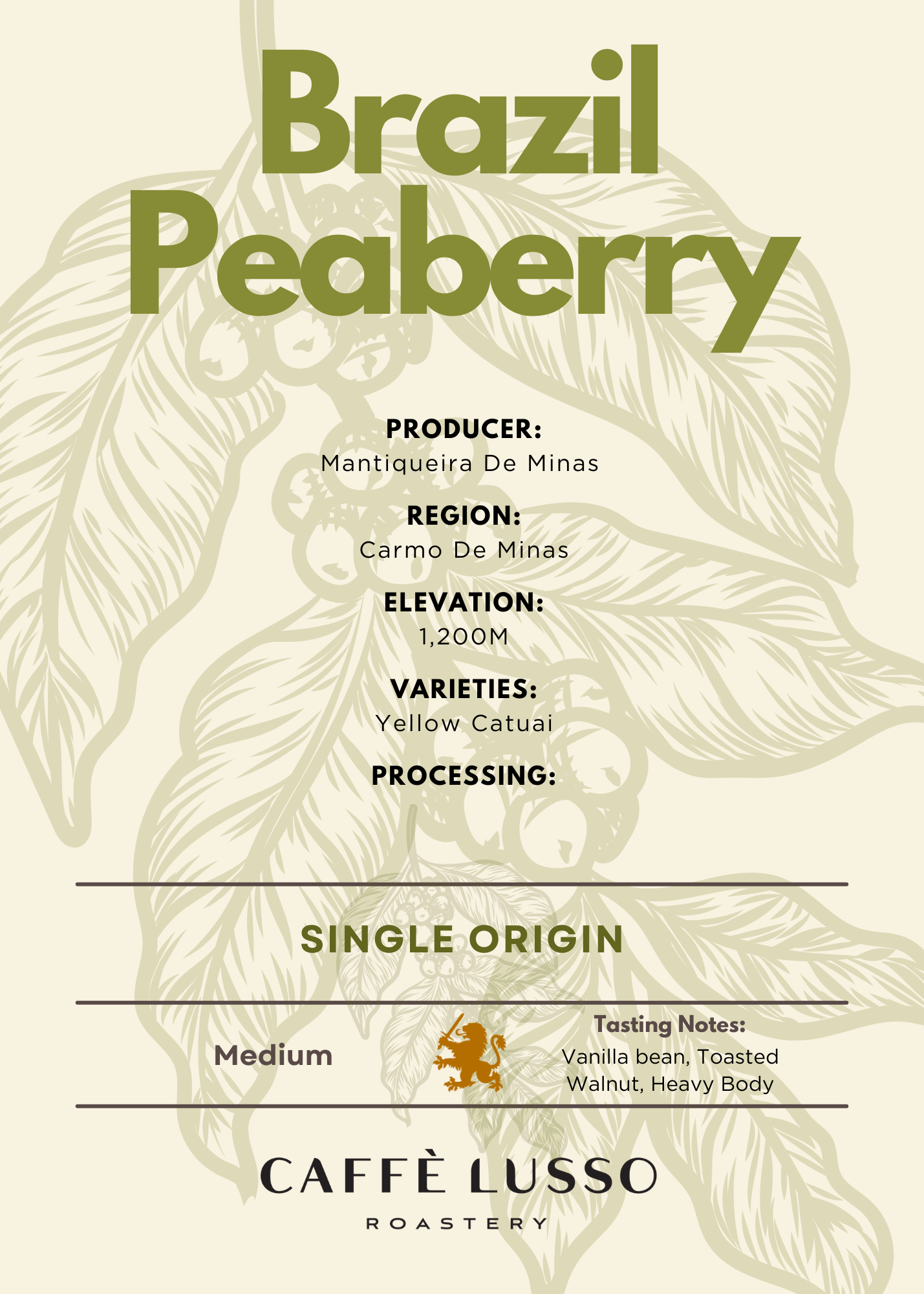 Brazil Peaberry