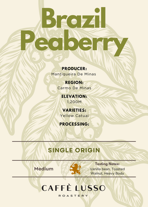 Brazil Peaberry - Caffè Lusso Roastery