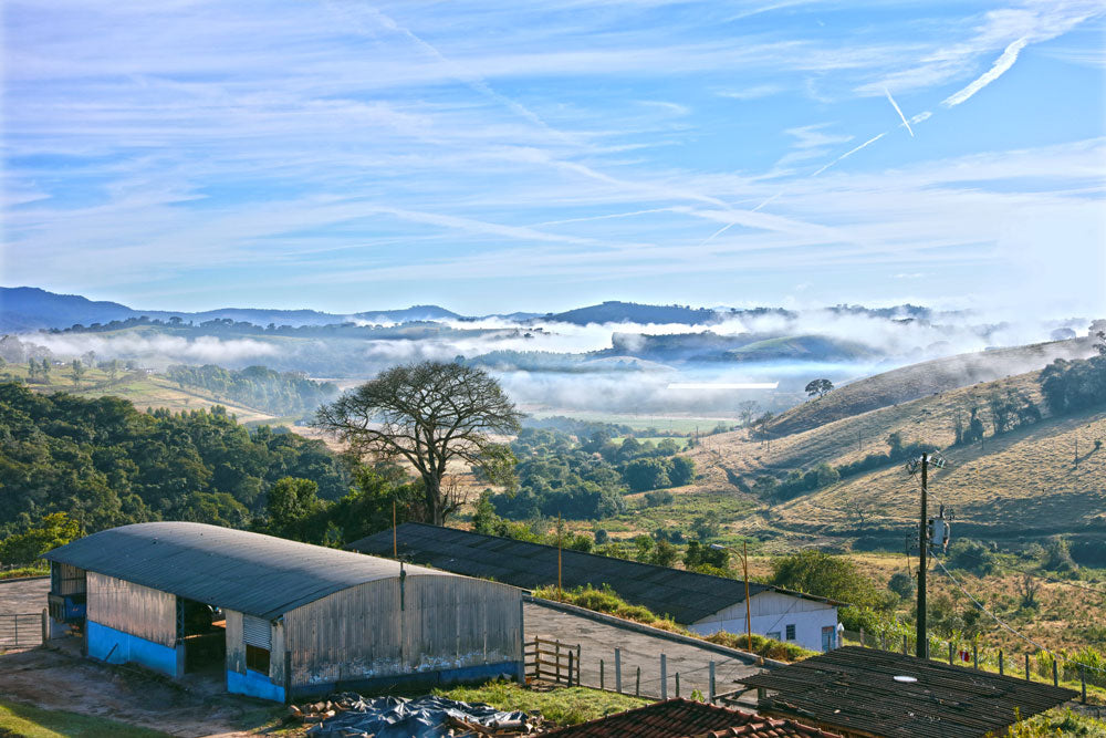 Gran Miscela Carmo Espresso Blend