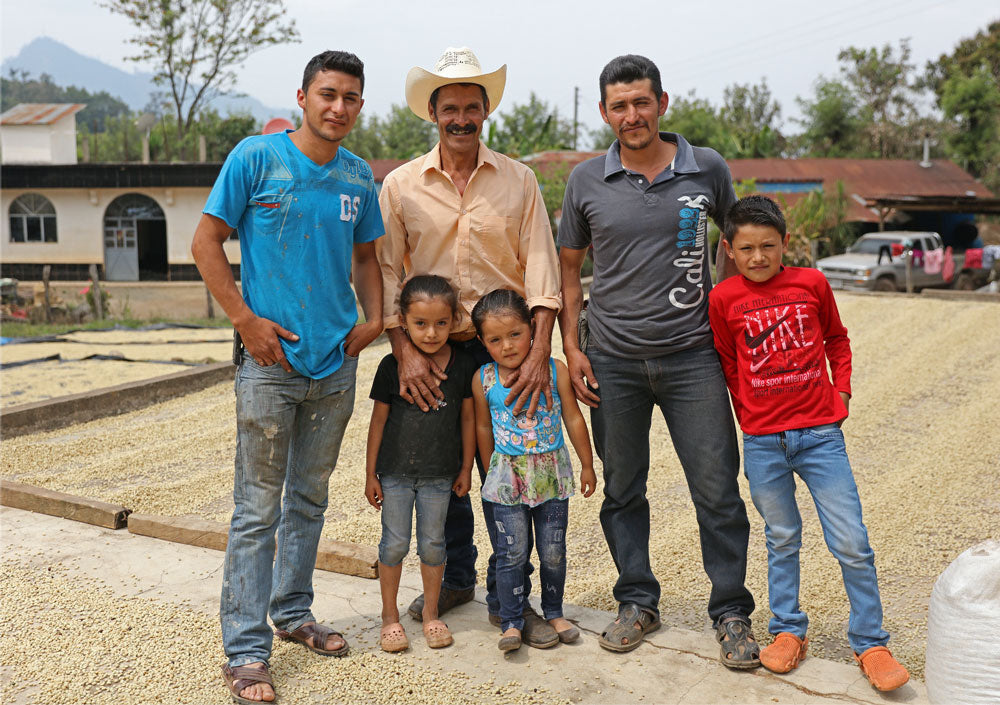 Guatemala Finca Florencia